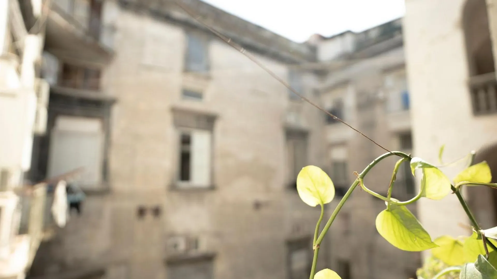 La Casa Sull'Albero Lejlighed Napoli Italien